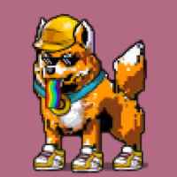 DogePunks #1663
