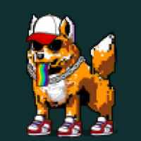 DogePunks #232