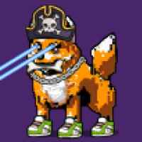 DogePunks #1503