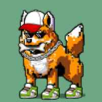 DogePunks #4875