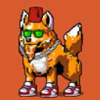 DogePunks #4104