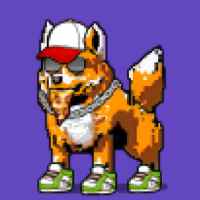 DogePunks #2599