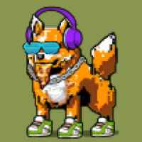 DogePunks #2492