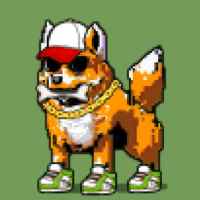 DogePunks #540