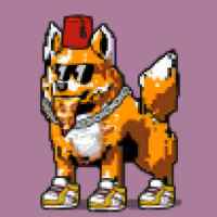 DogePunks #3346