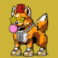 DogePunks #1406