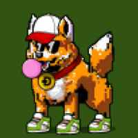 DogePunks #871