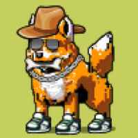DogePunks #4438