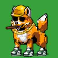DogePunks #3388