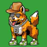 DogePunks #2532