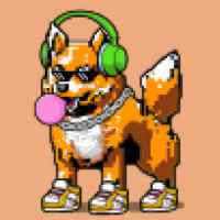 DogePunks #579