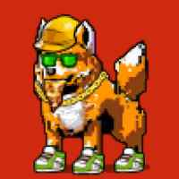 DogePunks #2870