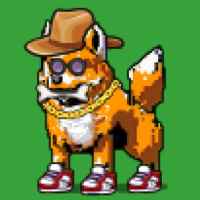 DogePunks #1173