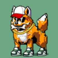 DogePunks #791