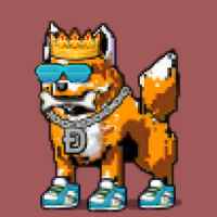 DogePunks #3014