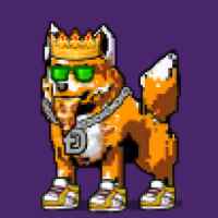 DogePunks #3849