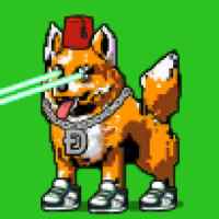 DogePunks #1644