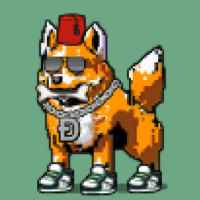 DogePunks #209