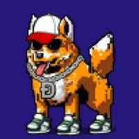 DogePunks #304