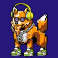 DogePunks #2982