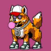 DogePunks #4244