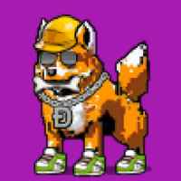 DogePunks #3070