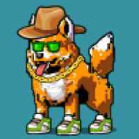 DogePunks #2501