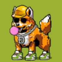 DogePunks #2389