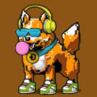 DogePunks #522