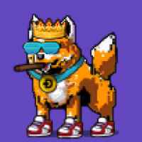 DogePunks #1046