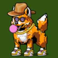 DogePunks #4555