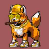 DogePunks #4305