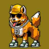 DogePunks #2435