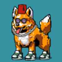 DogePunks #4895