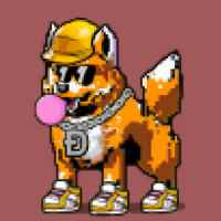 DogePunks #1310