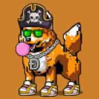 DogePunks #2044
