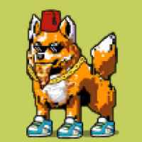 DogePunks #123