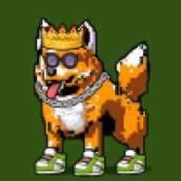 DogePunks #1992