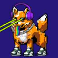 DogePunks #559