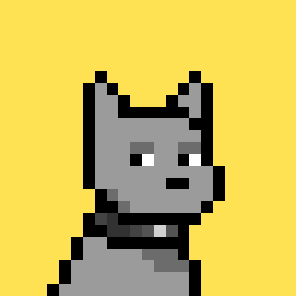 Doginal Dog #9904