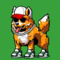 DogePunks #3015
