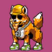 DogePunks #301