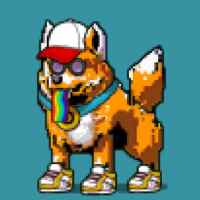DogePunks #1648