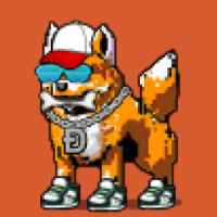DogePunks #1122