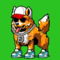 DogePunks #1834