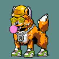 DogePunks #4242