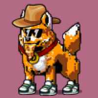 DogePunks #1779