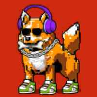 DogePunks #1106