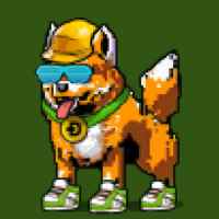 DogePunks #3808