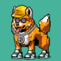 DogePunks #2969